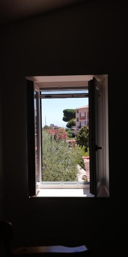 Villa Giuliana Stanze Con Bagno Interno In Villa A 350 Mt Spiaggia Libera Lido Delle Sirene Анцио Экстерьер фото