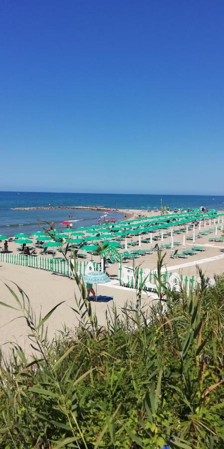 Villa Giuliana Stanze Con Bagno Interno In Villa A 350 Mt Spiaggia Libera Lido Delle Sirene Анцио Экстерьер фото