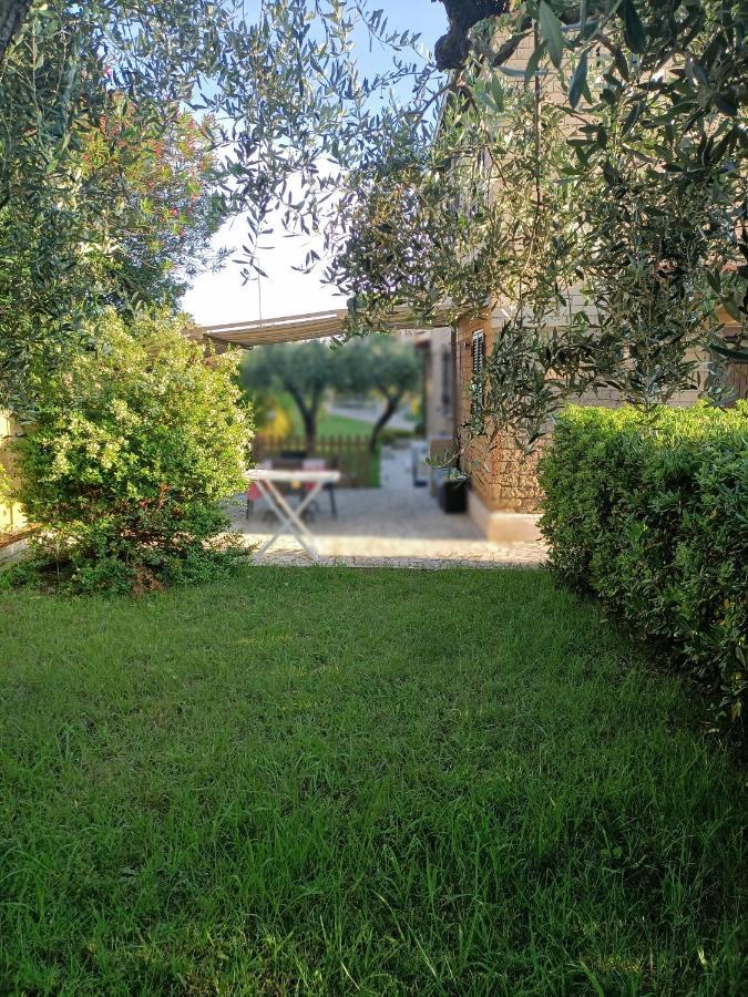 Villa Giuliana Stanze Con Bagno Interno In Villa A 350 Mt Spiaggia Libera Lido Delle Sirene Анцио Экстерьер фото